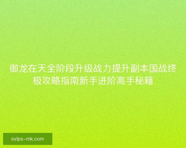 御龙在天全阶段升级战力提升副本国战终极攻略指南新手进阶高手秘籍